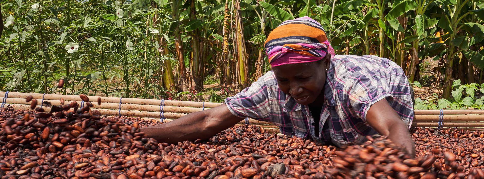 Cocoa Horizons Progress Report 2018/19