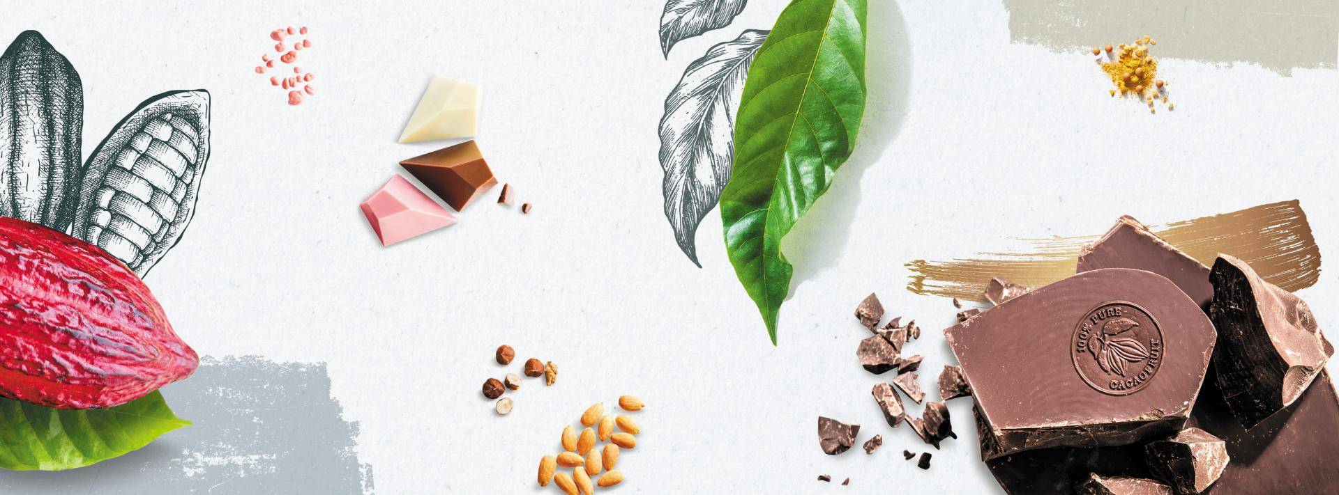 Barry Callebaut Group – Half-Year Results, Fiscal Year 2019/20