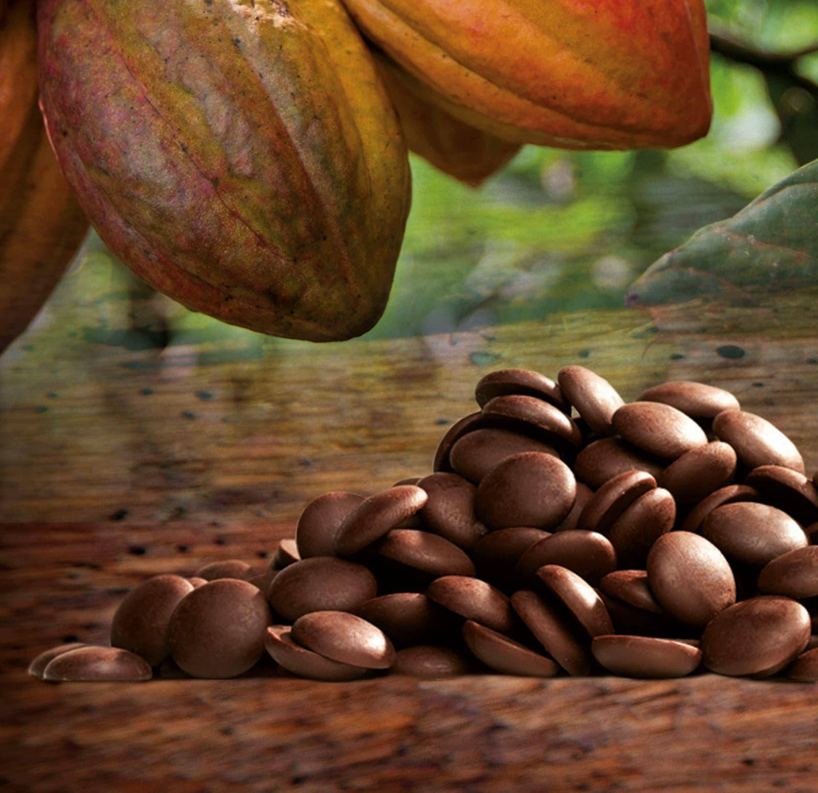 Barry Callebaut Cameroon chocolates