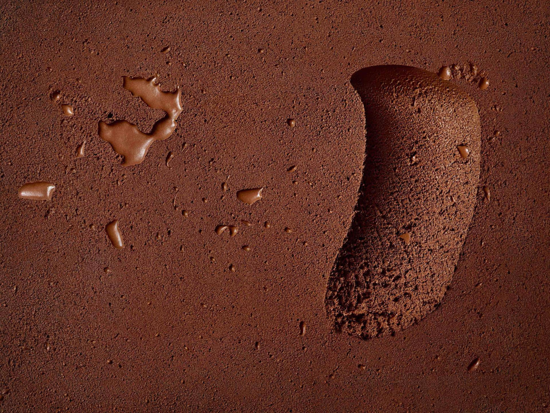 Barry Callebaut partners with the Zurich University of Applied Sciences to Explore Cocoa Cell Culture Technology