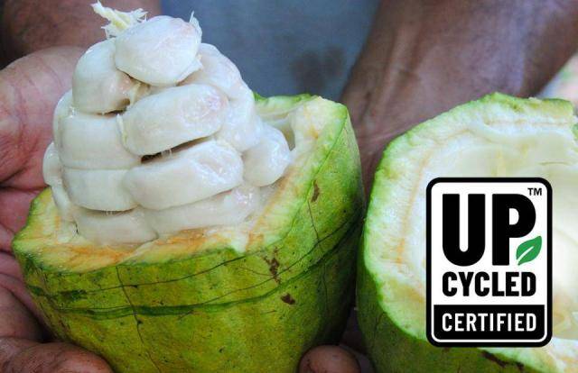upcycled certified cacaofruit