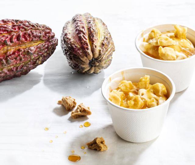 ice cream cacaofruit