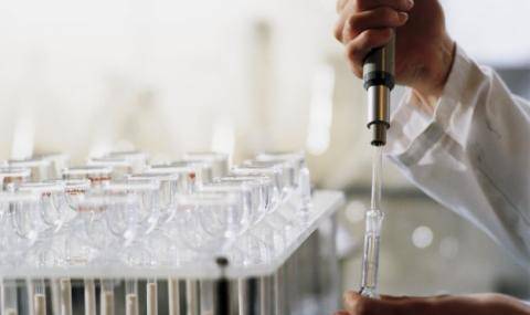 Naturex 3 - Barry Callebaut