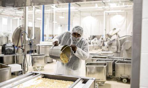 American Almond - Barry Callebaut 