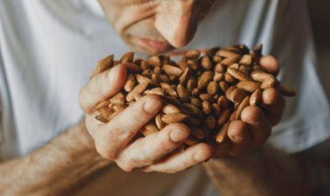 Barry Callebaut, Bean blender