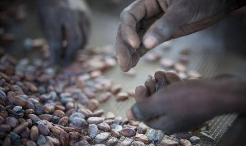 Biolands Cocoa Hands