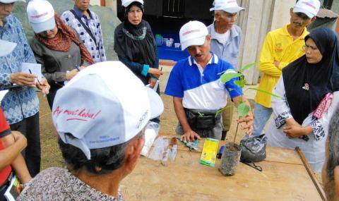 Barry Callebaut extends sustainability activities for cocoa farmers in Indonesia 