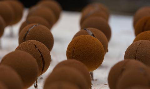 Cocoa Seminar Confectionery