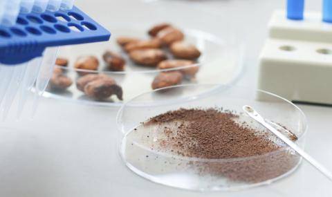 Cocoa Seminar R&D Lab