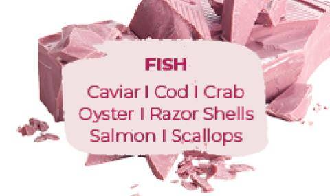 Ruby Pairings: Fish
