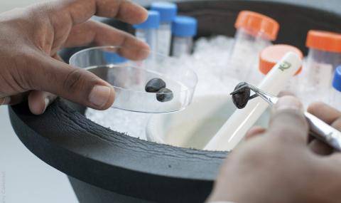 COMETA - Joint R&D Project Barry Callebaut / Jacobs University