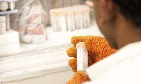 COMETA - Joint R&D Project Barry Callebaut / Jacobs University