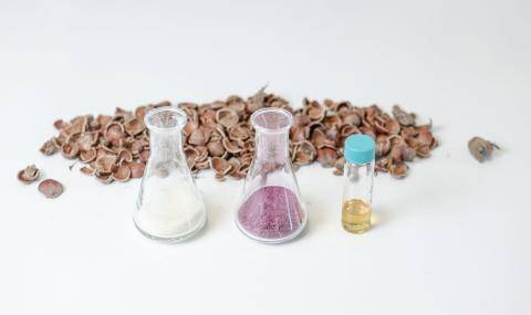 Bloom and Barry Callebaut lead the biomass revolution