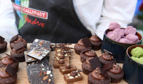 Barry Callebaut chocolate