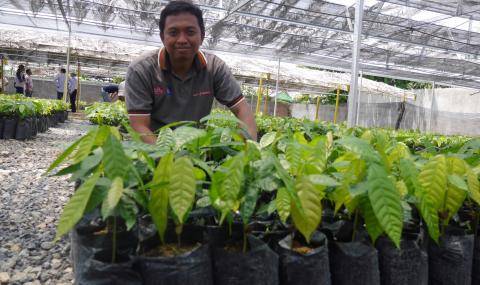 UTZ premium payments in Indonesia / Launch of Katchilé