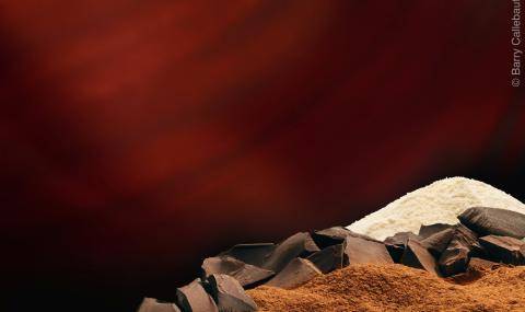 Barry Callebaut, Cocoa products