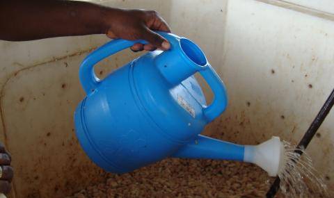 improving cocoa fermentation processes