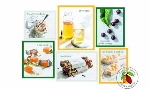 Barry Callebaut Cabosse Naturals - a high quality range of 100% pure cacaofruit ingredients for different applications