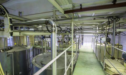 Barry Callebaut to open factory in Kaliningrad, Russia