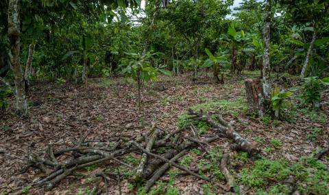 Thriving Nature 2021/22 sustainability Barry Callebaut