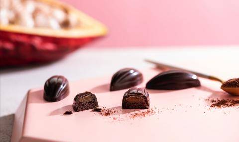 Barry Callebaut Group Half-Year Results 2022_2023