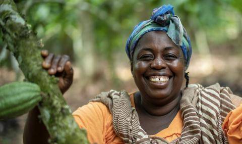 Forever Chocolate Progress report 2022