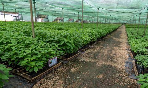 Press Trip Côte d'Ivoire April 2023