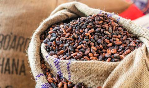 The new warehouse allows Barry Callebaut to have better control over its cocoa bean qualities to support its ambitious growth plans in the Region. 