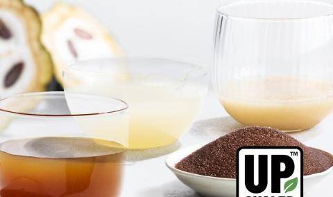 Barry Callebaut adds upcycled cacaofruit to its sustainability solutions portfolio