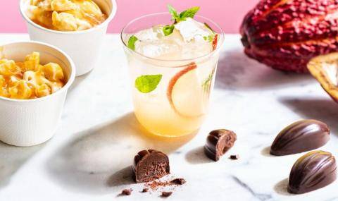 Barry Callebaut adds upcycled cacaofruit to its sustainability solutions portfolio