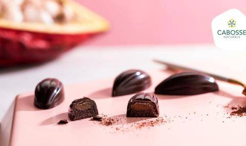 Barry Callebaut adds upcycled cacaofruit to its sustainability solutions portfolio