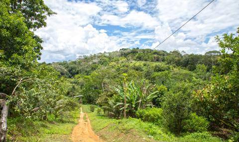 arry Callebaut and Nestlé Partner to Accelerate Towards Net Zero Cocoa in Brazil