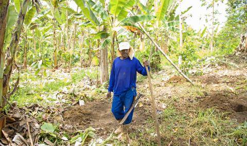 Barry Callebaut and Nestlé Partner to Accelerate Towards Net Zero Cocoa in Brazil