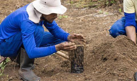 Barry Callebaut and Nestlé Partner to Accelerate Towards Net Zero Cocoa in Brazil