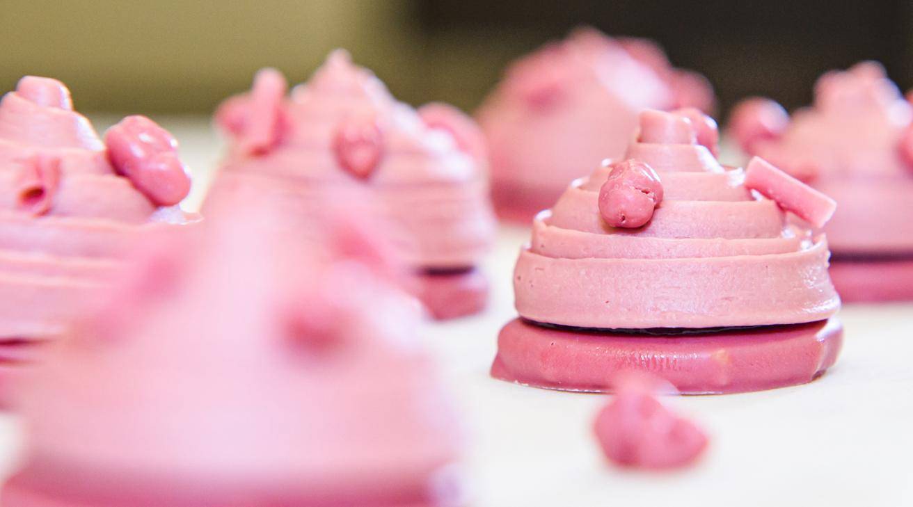 Barry Callebaut Full Year Results FY18-19 Success Stories