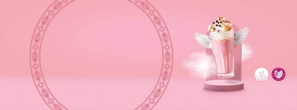 VH Ruby launch top banner