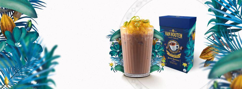 van houten santo domingo