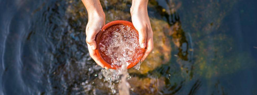 Sustainability: here’s to reducing water use