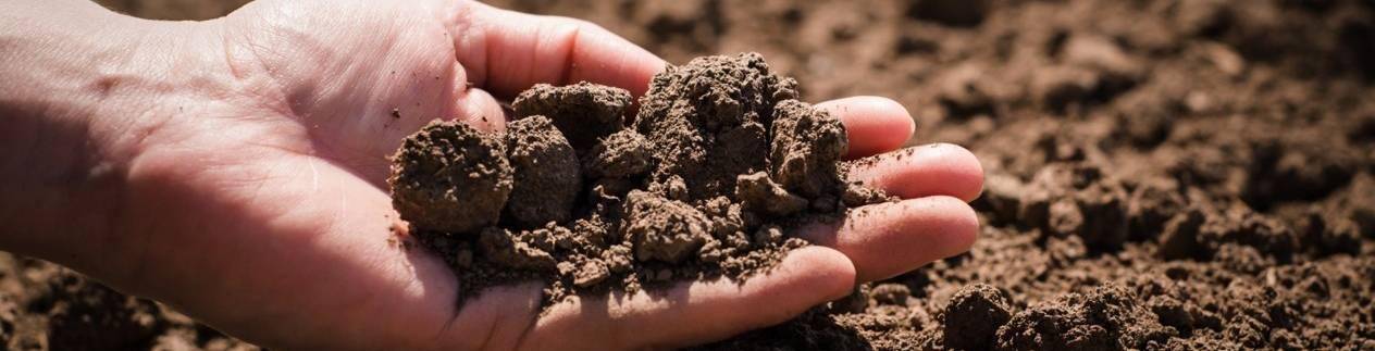 Genuine origin/ Authentic origin