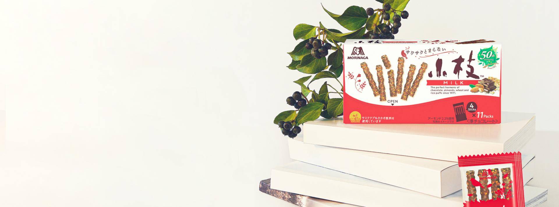 Morinaga Cocoa Horizons chocolates