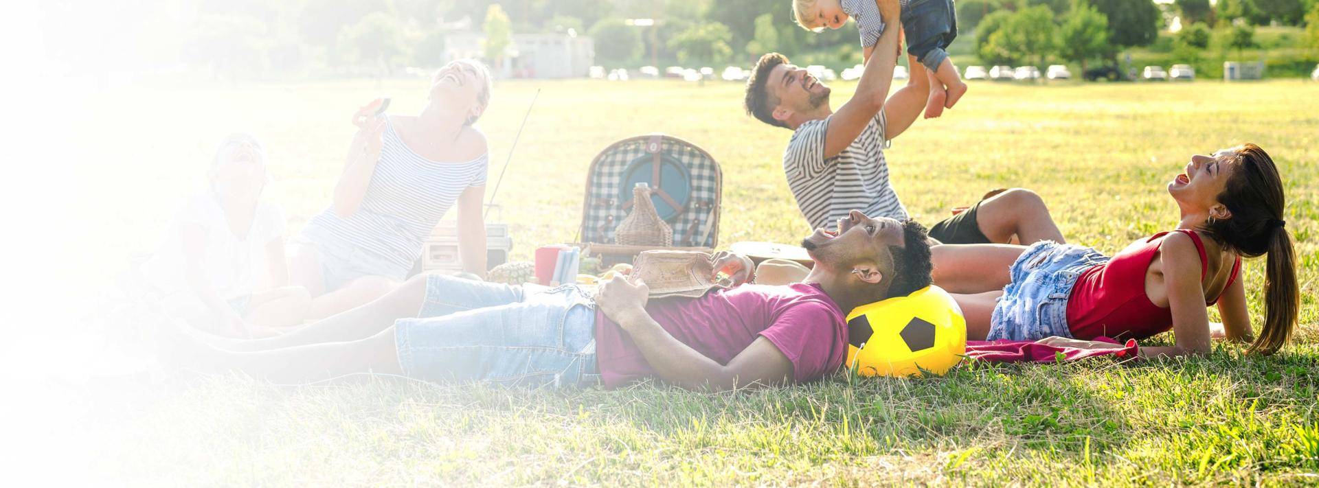 Family and Friends Having a Picnic