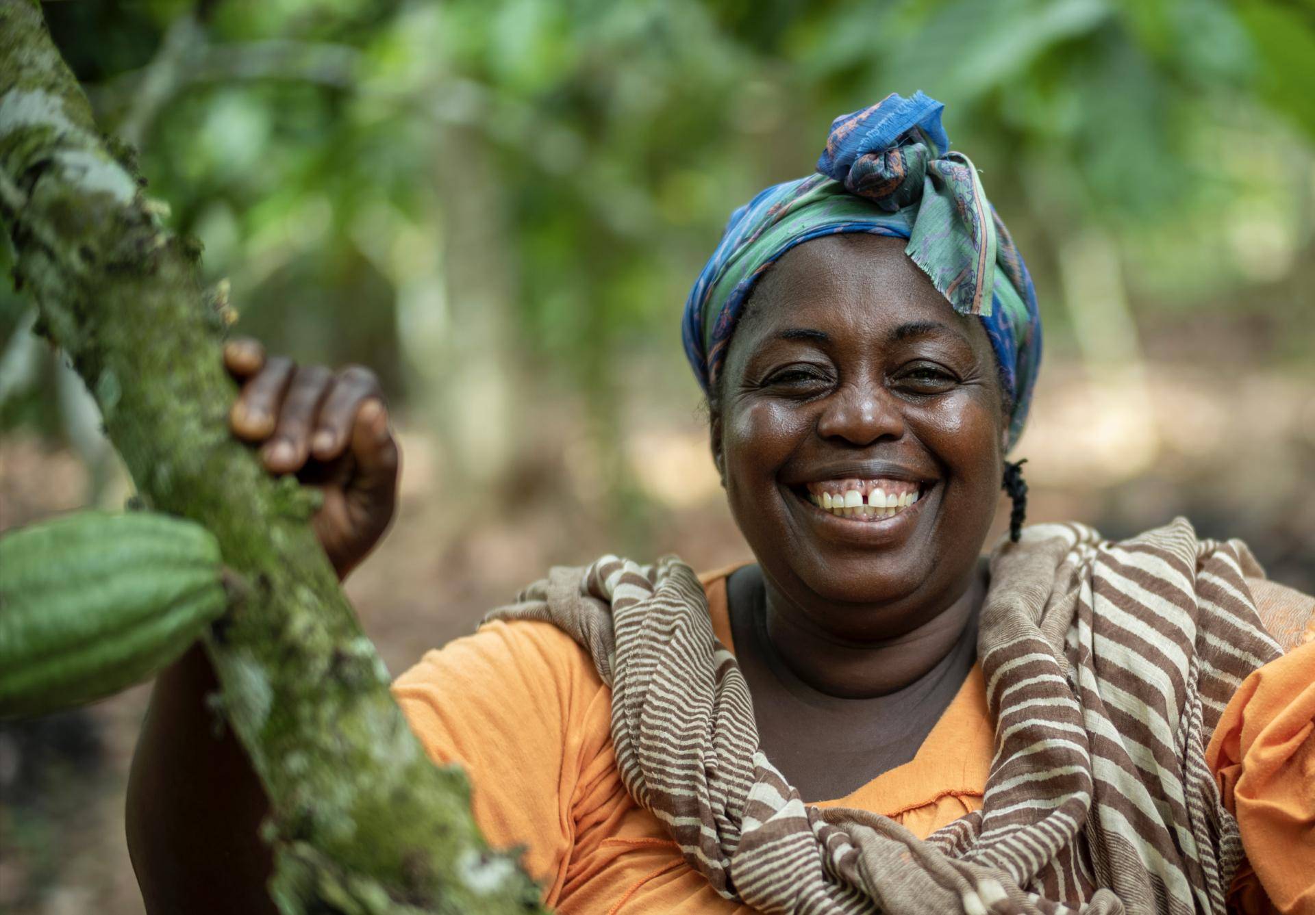 Forever Chocolate Progress Report 2021/22