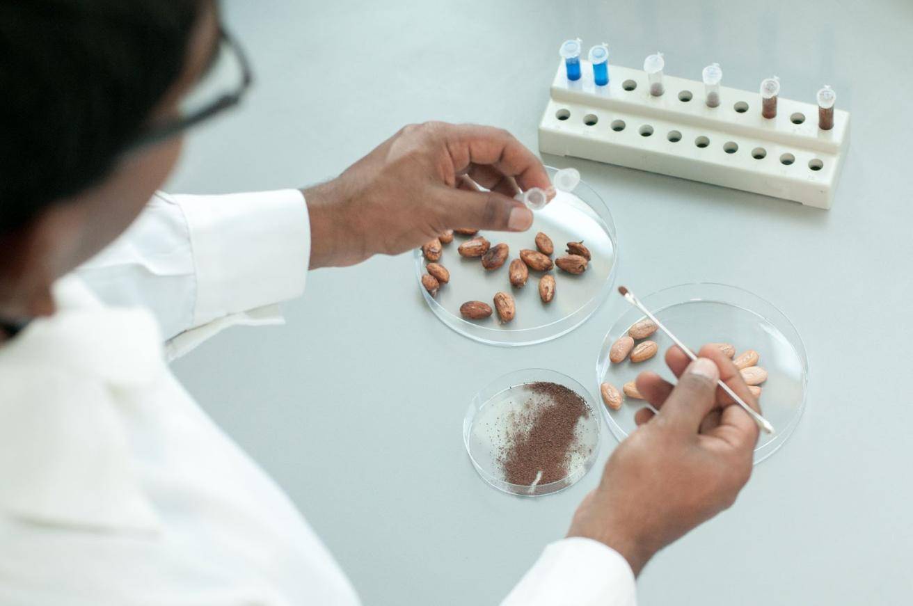 Partnership with the Zurich University of Applied Sciences to Explore Cocoa Cell Culture Technology