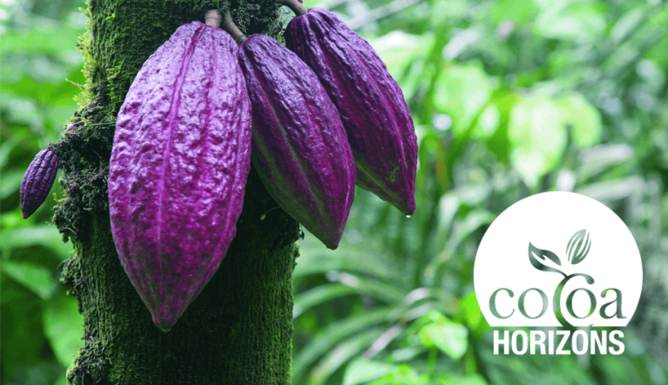 cocoa-horizons