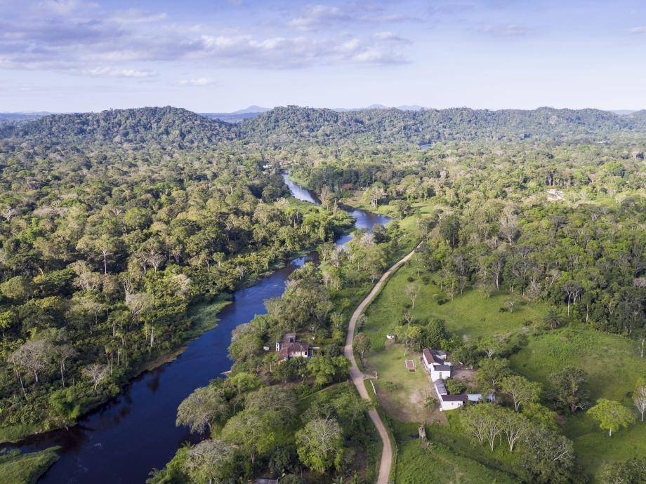 Cocoa production in Brazil