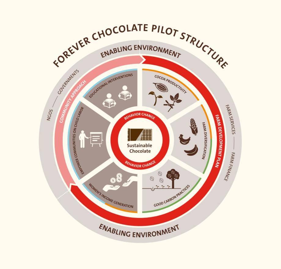 BC pilot projects infographic