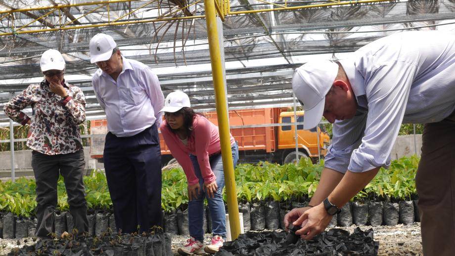 Cocoa nurseries program Indonesia