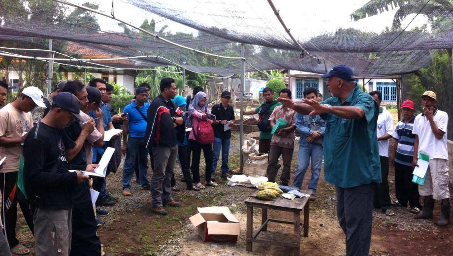 More farmers in Indonesia are getting access to good agricultural practices, which benefit the quality and output of their cocoa beans.