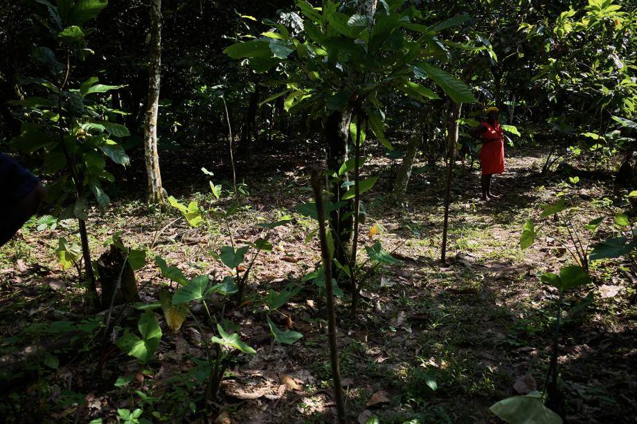 mapping of the farmers