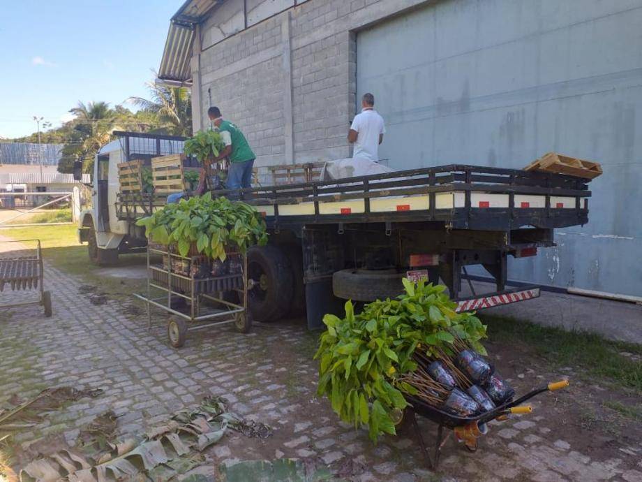 Barry Callebaut - Brazil - Continued support during COVID-19